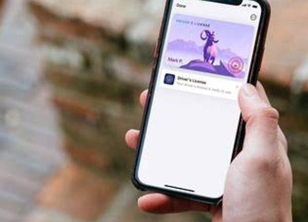 How to Add License to Apple Wallet Effortlessly