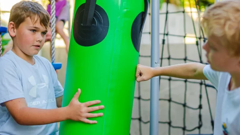 outdoor punching bag